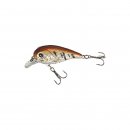 Holo Atract Flachlaufender Wobbler XTR-I Little 4,5cm...