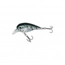 Holo Atract Flachlaufender Wobbler XTR-I Little 6,0cm...