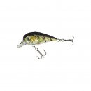 Holo Atract Flachlaufender Wobbler XTR-I Little 6,0cm...