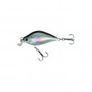 Holo Atract Flachlaufender Wobbler XTR-N 4,0cm Tauchtiefe...
