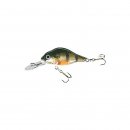 Holo Select Flachlaufender Wobbler Abra F 4,0cm...