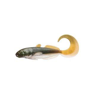 Cormoran Curly Goby perl ayu