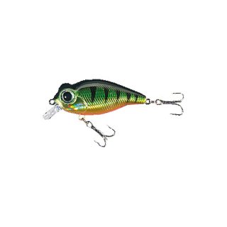 Holo Atract Flachlaufender Wobbler XTR-O 5,5cm Tauchtiefe bis 0,8m
