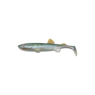 Quantum smelt Shad sunbleak